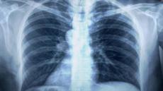 CREATOR: gd-jpeg v1.0 (using IJG JPEG v62), quality = 100?